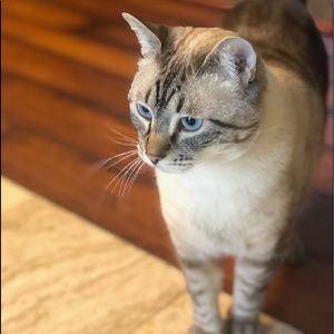 Meet your Posher, Anna